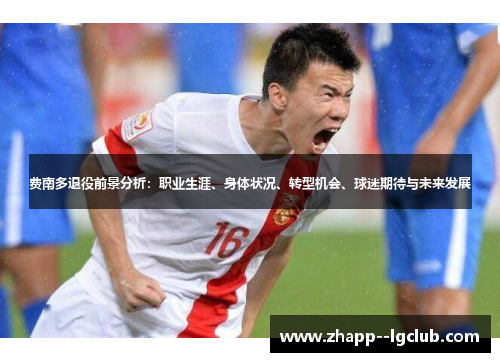 费南多退役前景分析：职业生涯、身体状况、转型机会、球迷期待与未来发展