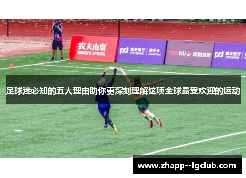 足球迷必知的五大理由助你更深刻理解这项全球最受欢迎的运动