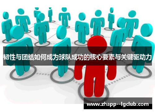 韧性与团结如何成为球队成功的核心要素与关键驱动力