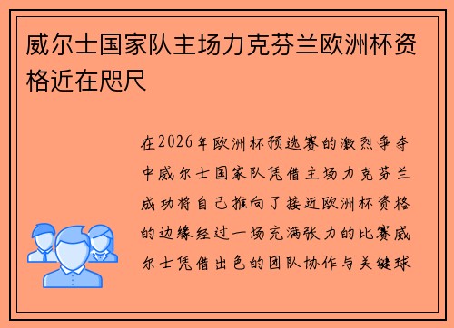 威尔士国家队主场力克芬兰欧洲杯资格近在咫尺